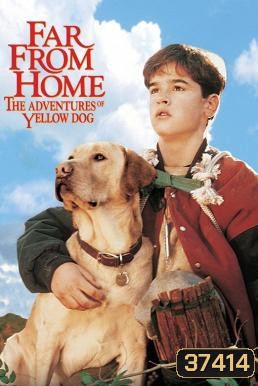 Far from Home: The Adventures of Yellow Dog 1995 เพื่อนรักแสนรู้