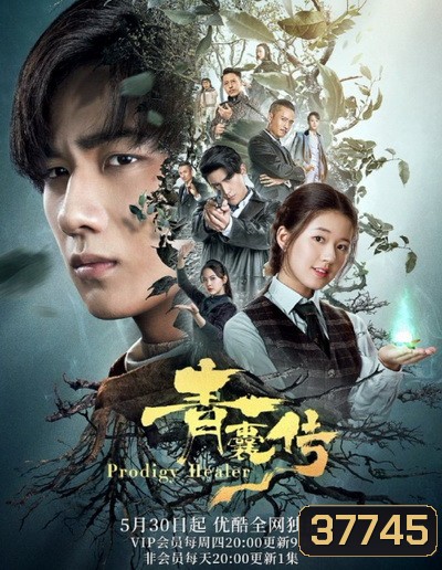 Prodigy Healer (2019) หมออัจฉริยะ ( 36 ตอนจบ )