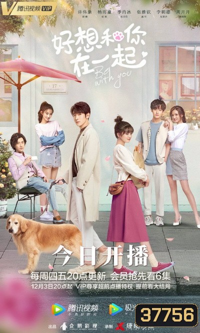 ละลายรักนายมาดนิ่ง Be With You [ EP.1-24 END ]
