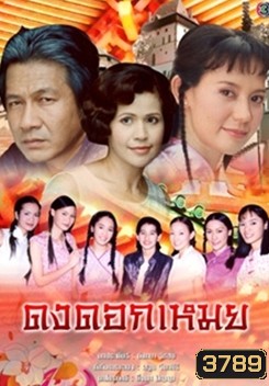 ดงดอกเหมย