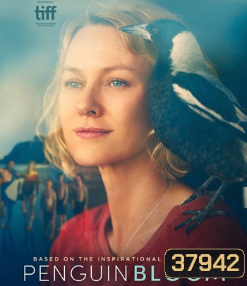 Penguin Bloom (2020) เพนกวิน บลูม