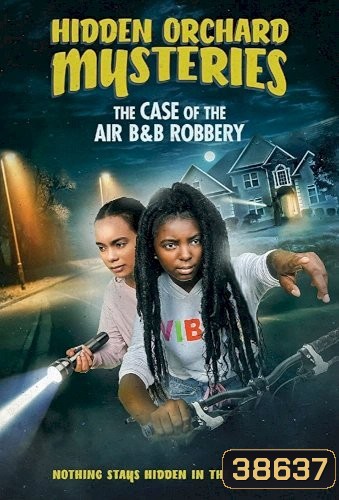 HIDDEN ORCHARD MYSTERIES: THE CASE OF THE AIR B AND B ROBBERY (2020)