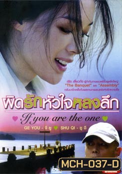 If You Are The One ผิดรักหัวใจหลงลึก