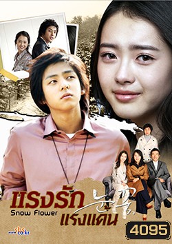 Snow Flower แรงรัก แรงแค้น (Snow Flakes)