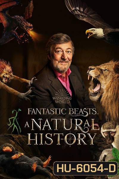 Fantastic Beasts A Natural History (2022)