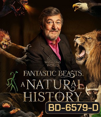 Fantastic Beasts A Natural History (2022)