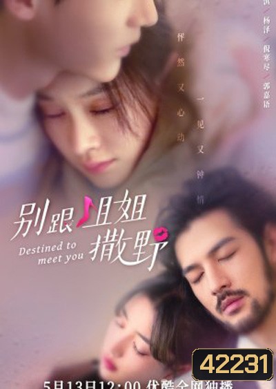 Destined to meet you (2022) เดสทินี รักนี้พี่ขอ (20 ตอนจบ)