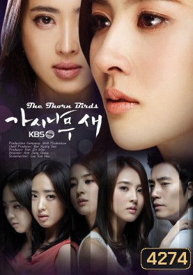 The Thorn Birds (Thorn Tree Bird / The Thorn Bush Bird)