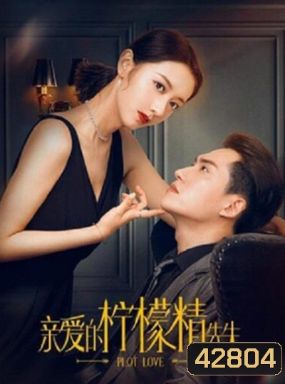 Plot Love (2021) แผนรักลวงใจ (24 ตอนจบ)