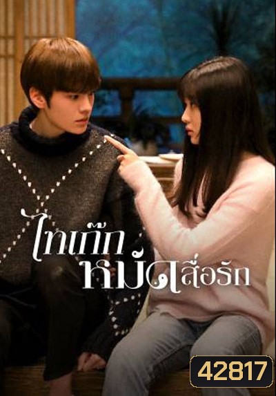 Sweet Tai Chi (2019) ไทเก๊กหมัดสื่อรัก (24 ตอนจบ)