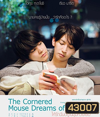 The Cornered Mouse Dreams of Cheese (2020) ให้รักฉันอยู่ในมุมหัวใจเธอ