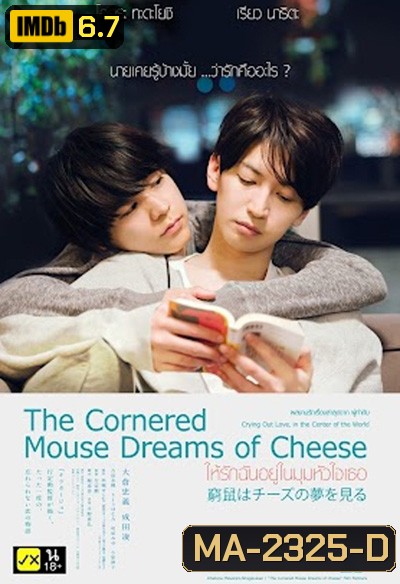 The Cornered Mouse Dreams of Cheese (2020) ให้รักฉันอยู่ในมุมหัวใจเธอ