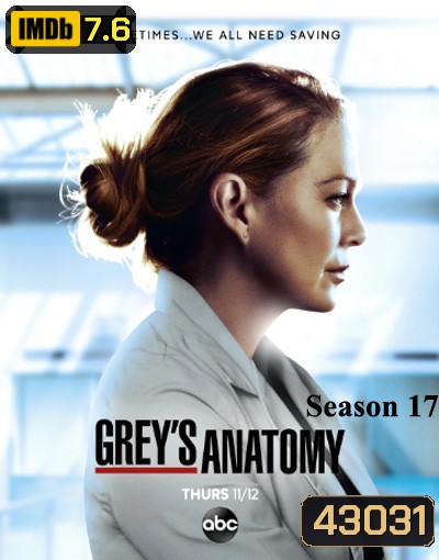 Grey's anatomy Season 17 แพทย์มือใหม่หัวใจเกินร้อย ปี 17 (17 ตอนจบ)