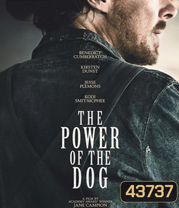 4K - The Power of the Dog (2021) อำนาจบาดเลือดแค้น - แผ่นหนัง 4K UHD