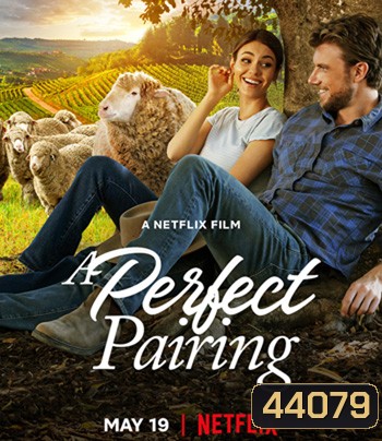 A Perfect Pairing (2022) คู่นี้... คือเพอร์เฟค