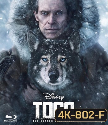 4K - Togo (2019) โตโกหมาป่ายอดนักสู้ - แผ่นหนัง 4K UHD