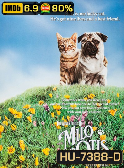 The Adventures of Milo and Otis (1986) แมวจ๋าหมาอยู่นี่