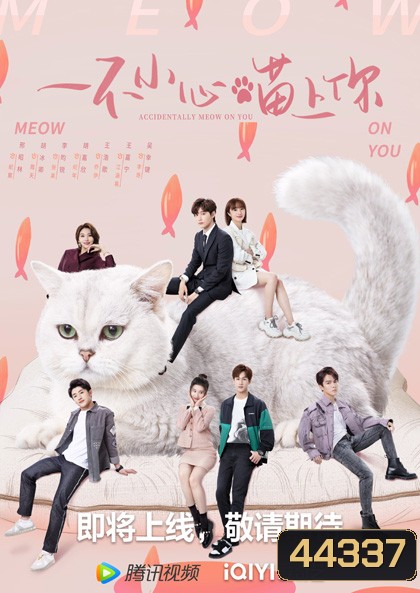 Accidentally Meow On You (2022) เหมียวเหมียวเกี่ยวใจให้เจอรัก (24 ตอนจบ)