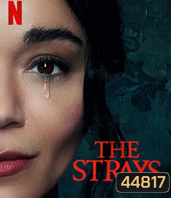 The Strays (2023) คนหลงทาง