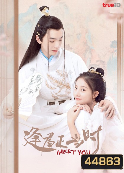 Meet You (2021) เจ้าสาวสวมรอย (12 ตอนจบ)