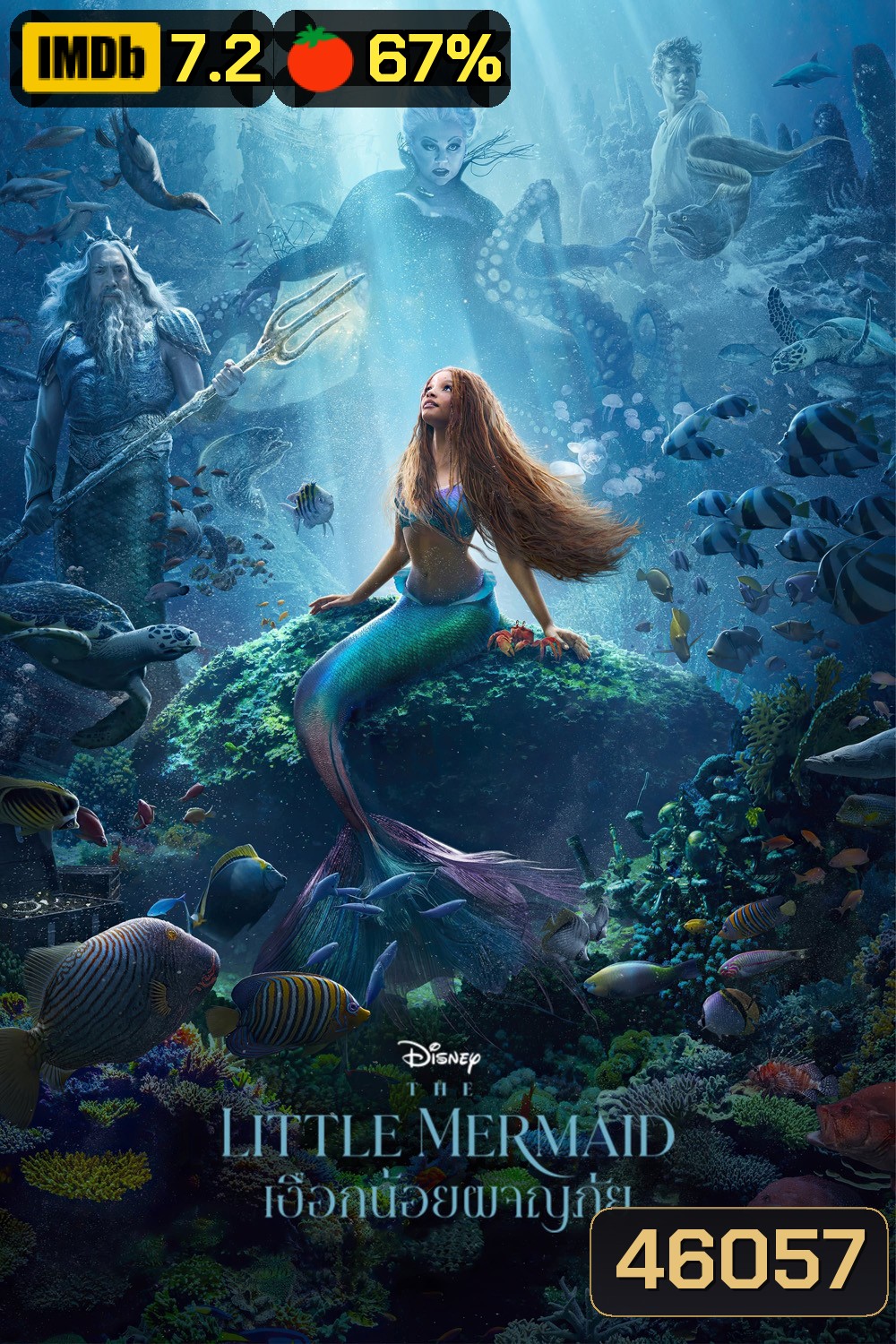 (Zoom ซูม) The Little Mermaid (2023) เงือกน้อยผจญภัย (ดูภาพตัวอย่างด้านใน)