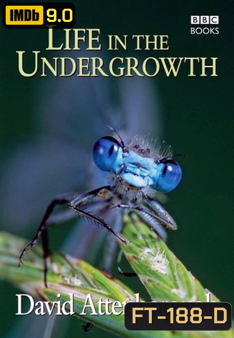 BBC Life In The Undergrowth (2005) โลกมหัศจรรย์ของแมลง