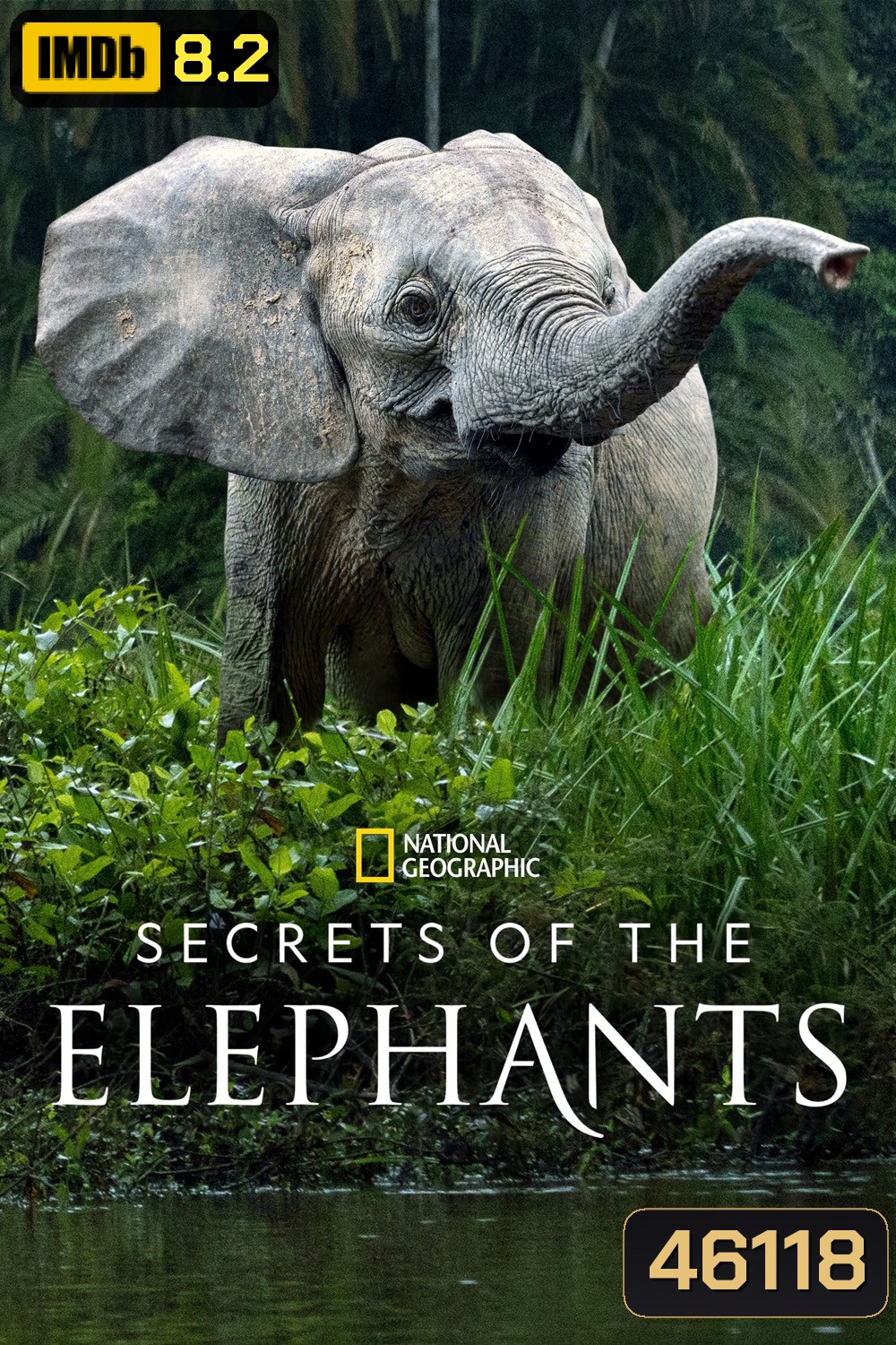 Secrets of the Elephants (2023) 4 ตอน