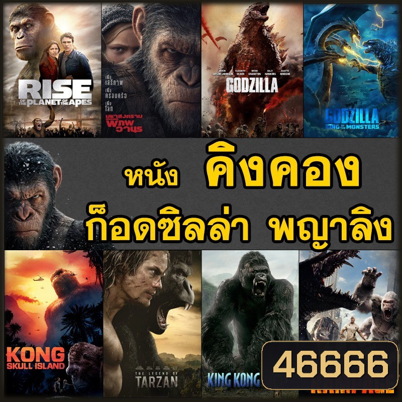  รูปที่ 1