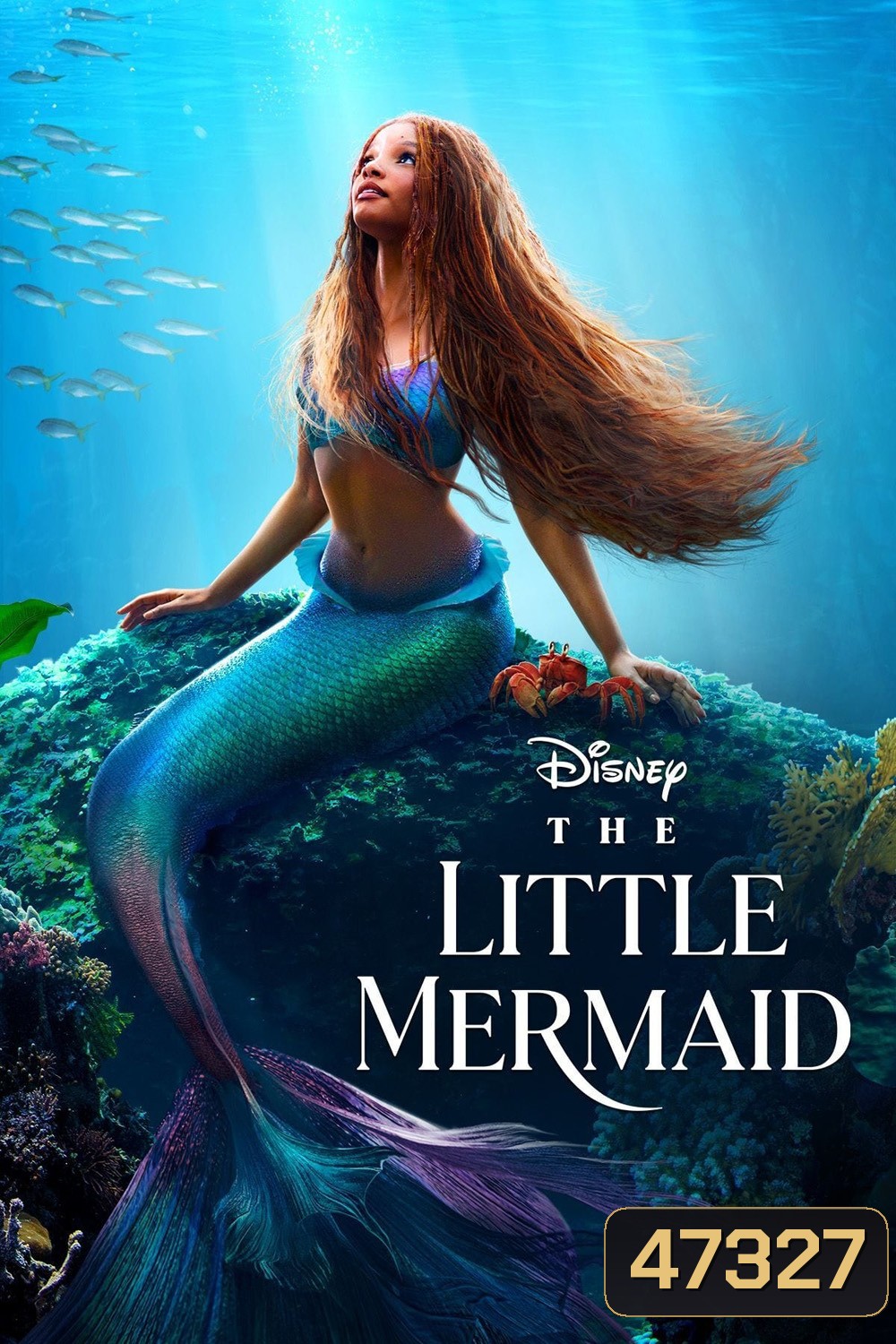 [ชนโรง!..ชัด + V.2 - ดูรูปตัวอย่างด้านล่าง ] The Little Mermaid (2023) เงือกน้อยผจญภัย