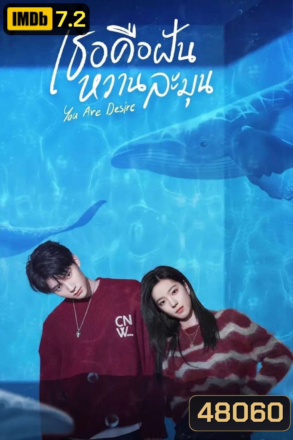 เธอคือฝันหวานละมุน You Are Desire (2023) 30ตอน+ตอนพิเศษ