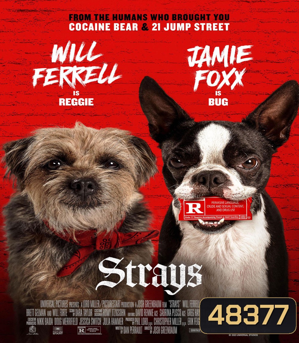 ชีวิตหมาต้องไม่หมา Strays (2023)