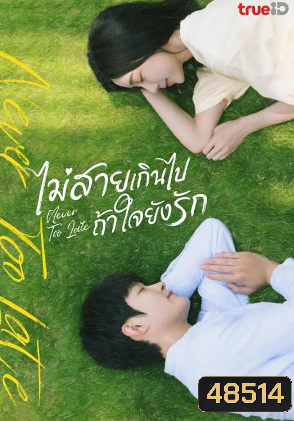 Never Too Late (2023) ไม่สายเกินไปถ้าใจยังรัก (22 ตอน)