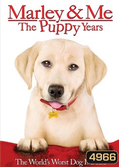 Marley & Me: The Puppy Years จอมป่วนหน้าซื่อ 2 ปีทองน้องหมาตัวกวน