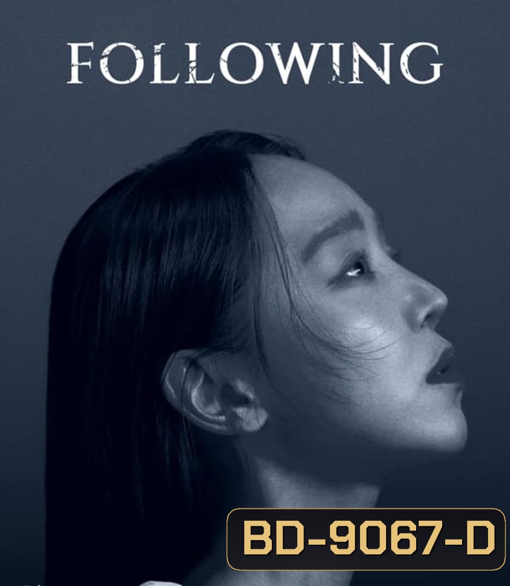 Following (2024)