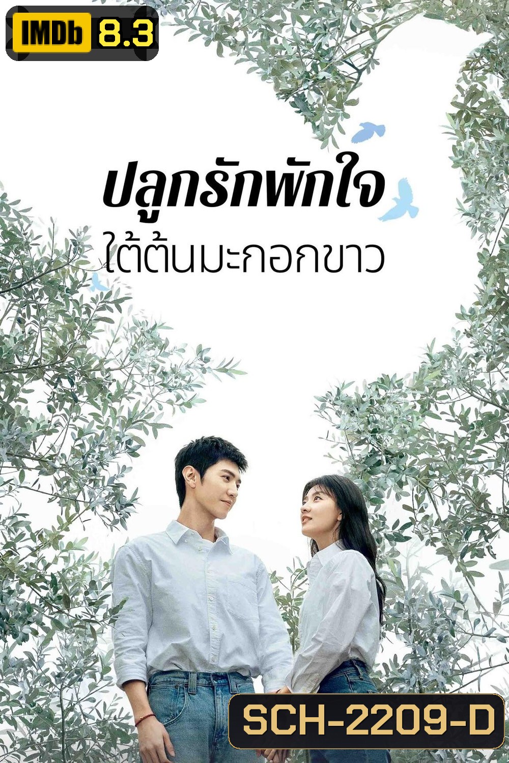 The White Olive Tree ปลูกรักพักใจ ใต้ต้นมะกอกขาว (2025) 38 ตอนจบ