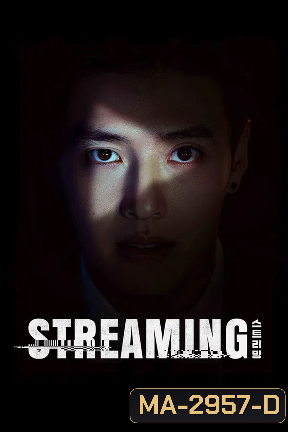 Streaming (2025)