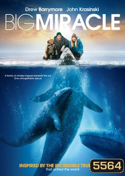 Big Miracle ปาฏิหาริย์วาฬสีเทา