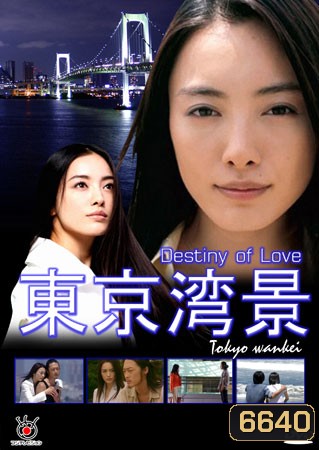 Destiny of Love (ลิขิตรักจากฟากฟ้า)