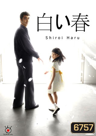 Shiroi Haru (ฤดูใบไม้ผลิสีขาว)