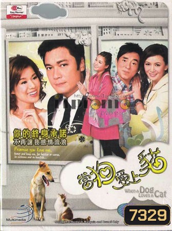 สายใยรักเจ้าโฮ่งน้อย When A Dog Loves A Cat (หลอเจียเหลียง หูซินเอ๋อ)
