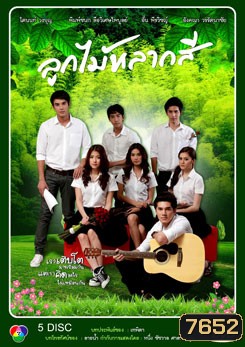 ลูกไม้หลากสี